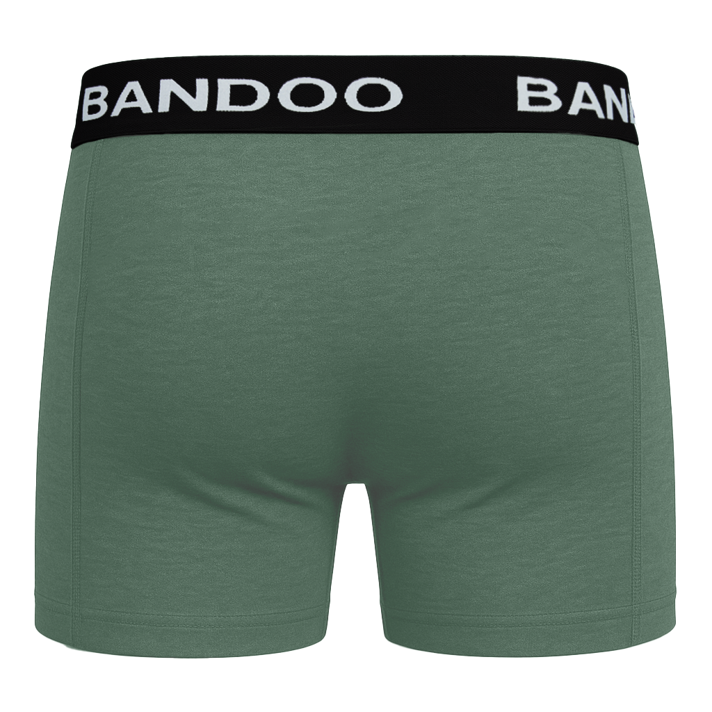 2-Pack Bamboo Boxers - Black + Green