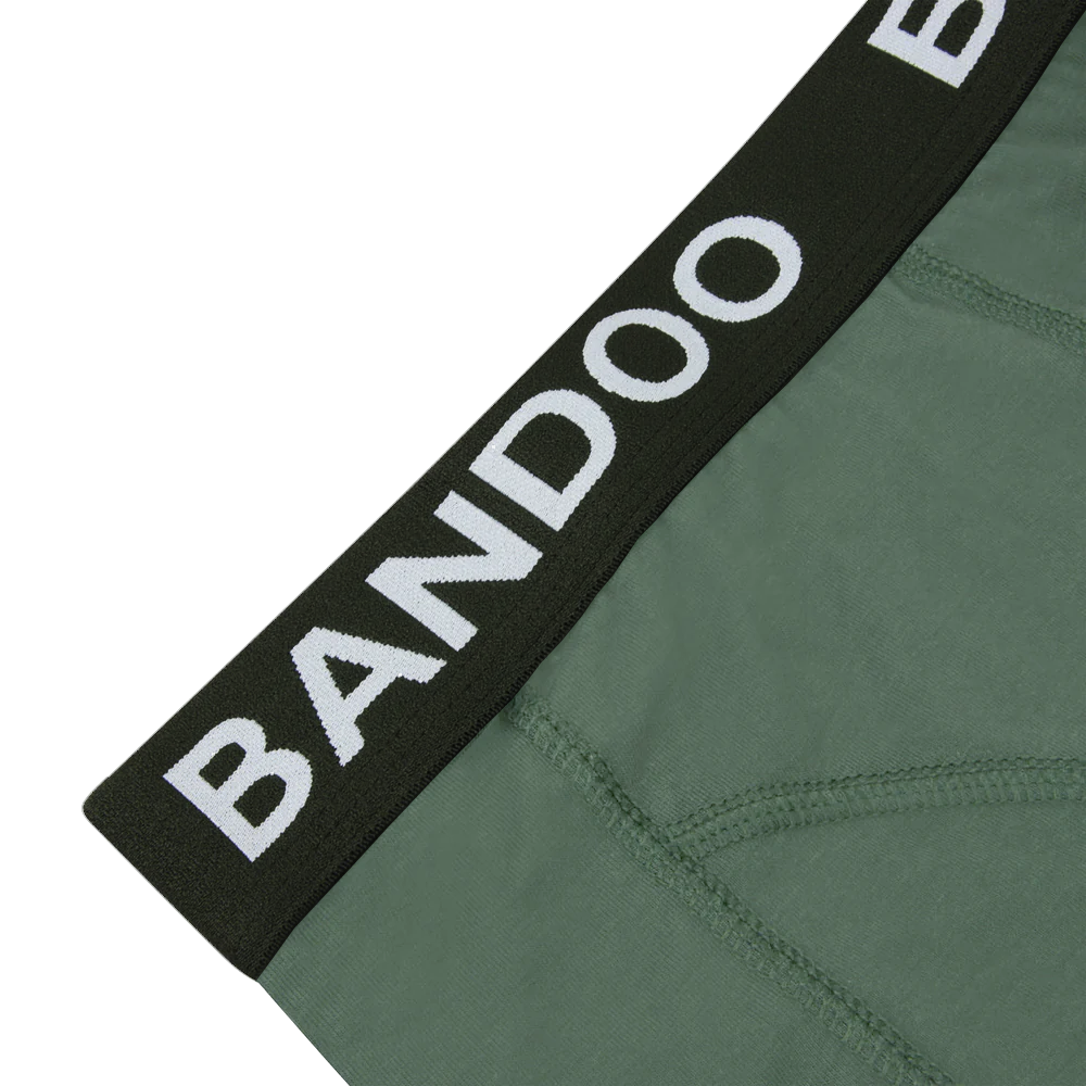2-Pack Bamboo Boxers - Black + Green