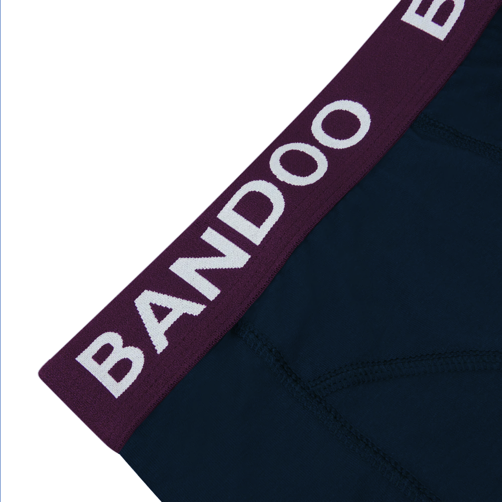 2-Pack Bamboo Boxers - Purple + Navy Blue