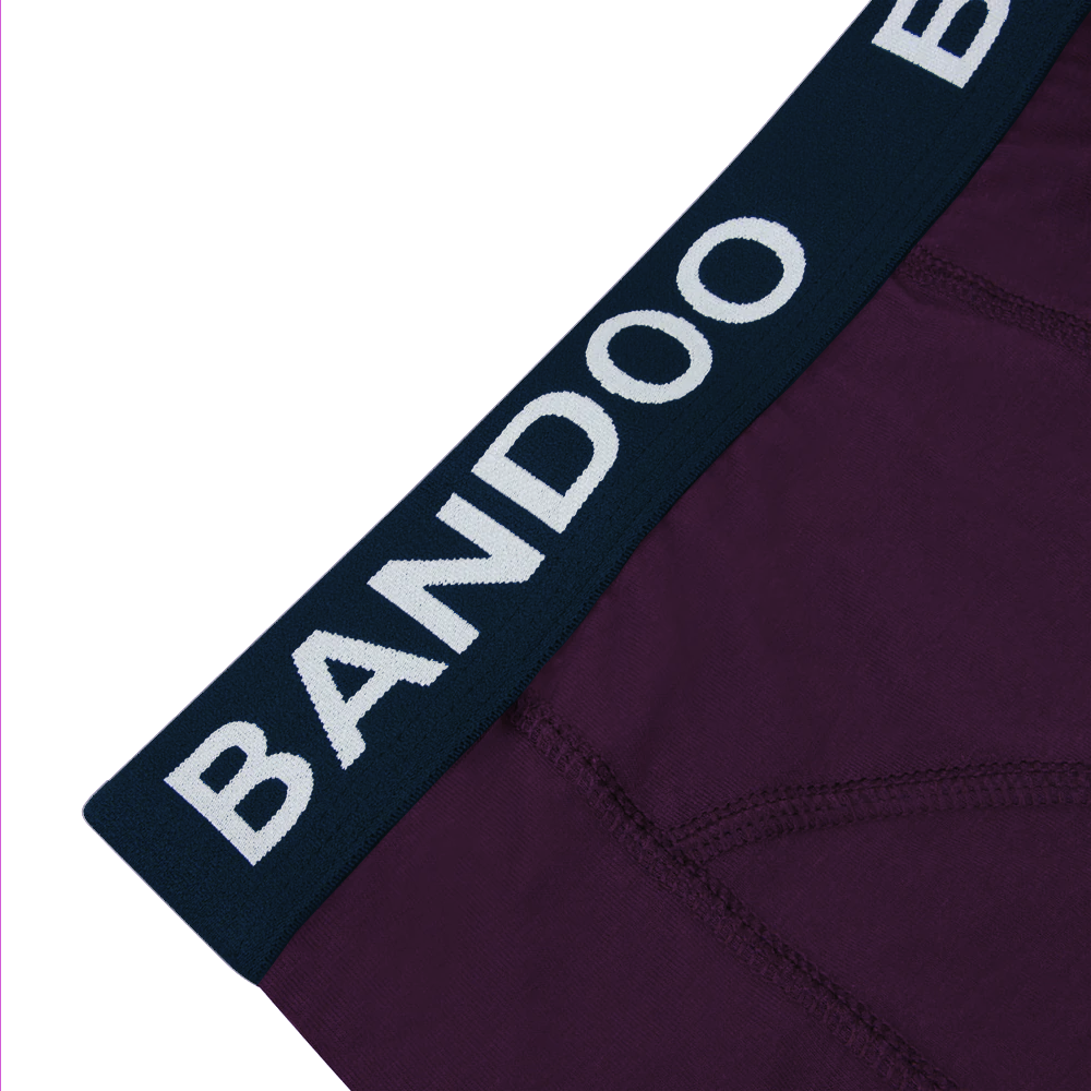 2-Pack Bamboo Boxers - Purple + Navy Blue