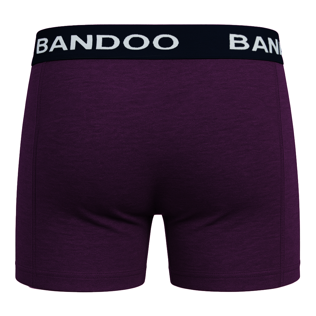 2-Pack Bamboo Boxers - Purple + Navy Blue