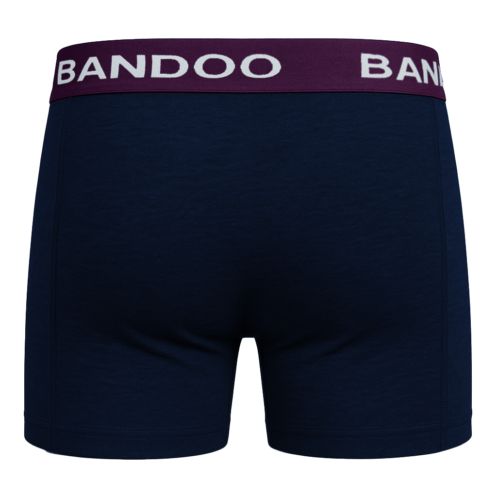 2-Pack Bamboo Boxers - Purple + Navy Blue