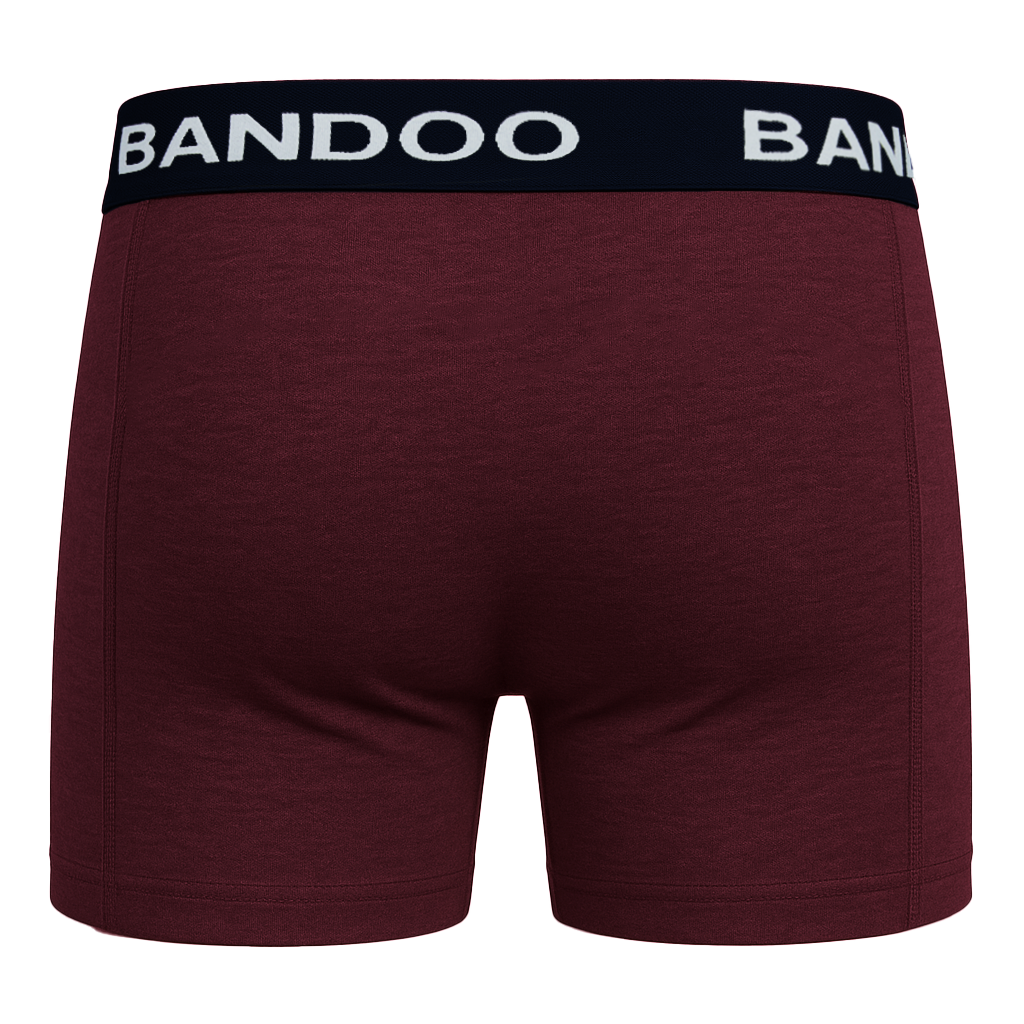 2-Pack Bamboo Boxers - Burgundy + Navy Blue