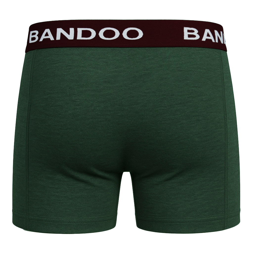 2-Pack Bamboo Boxers - Army Green + Burgundy