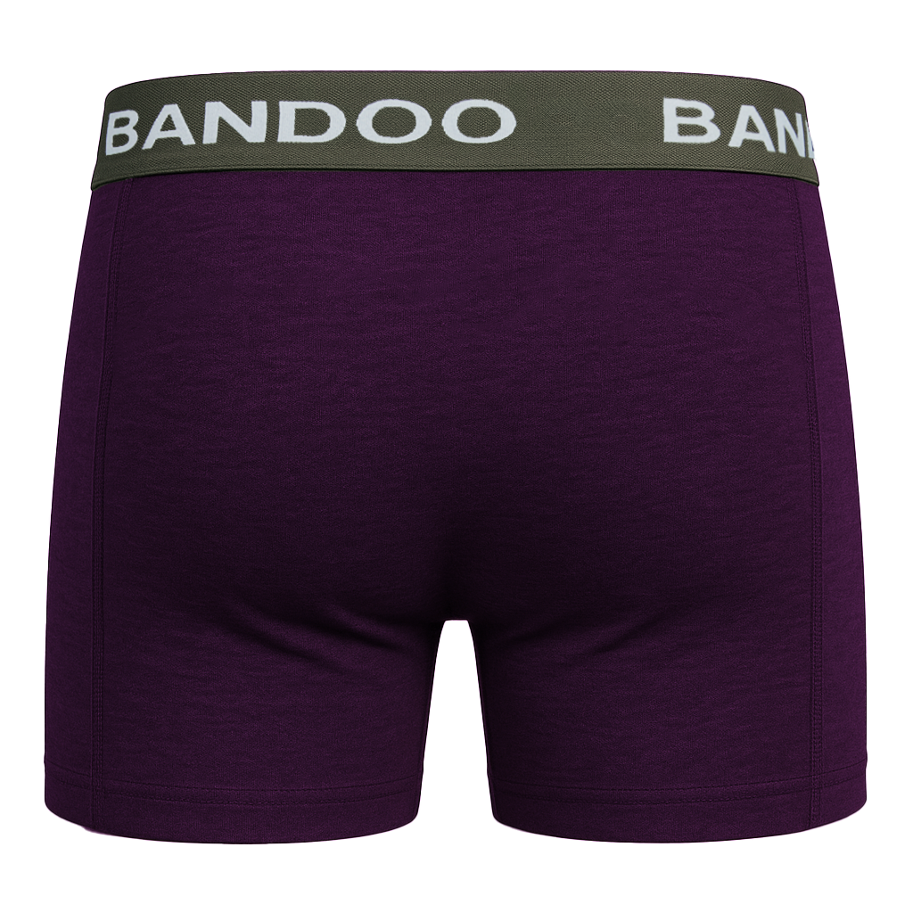 2-Pack Bamboo Boxers - Olive Green + Purple