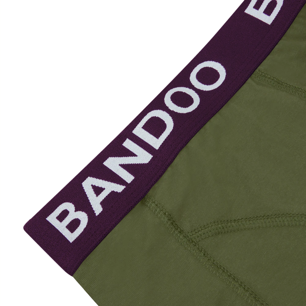 2-Pack Bamboo Boxers - Olive Green + Purple