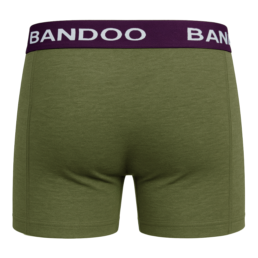 2-Pack Bamboo Boxers - Olive Green + Purple