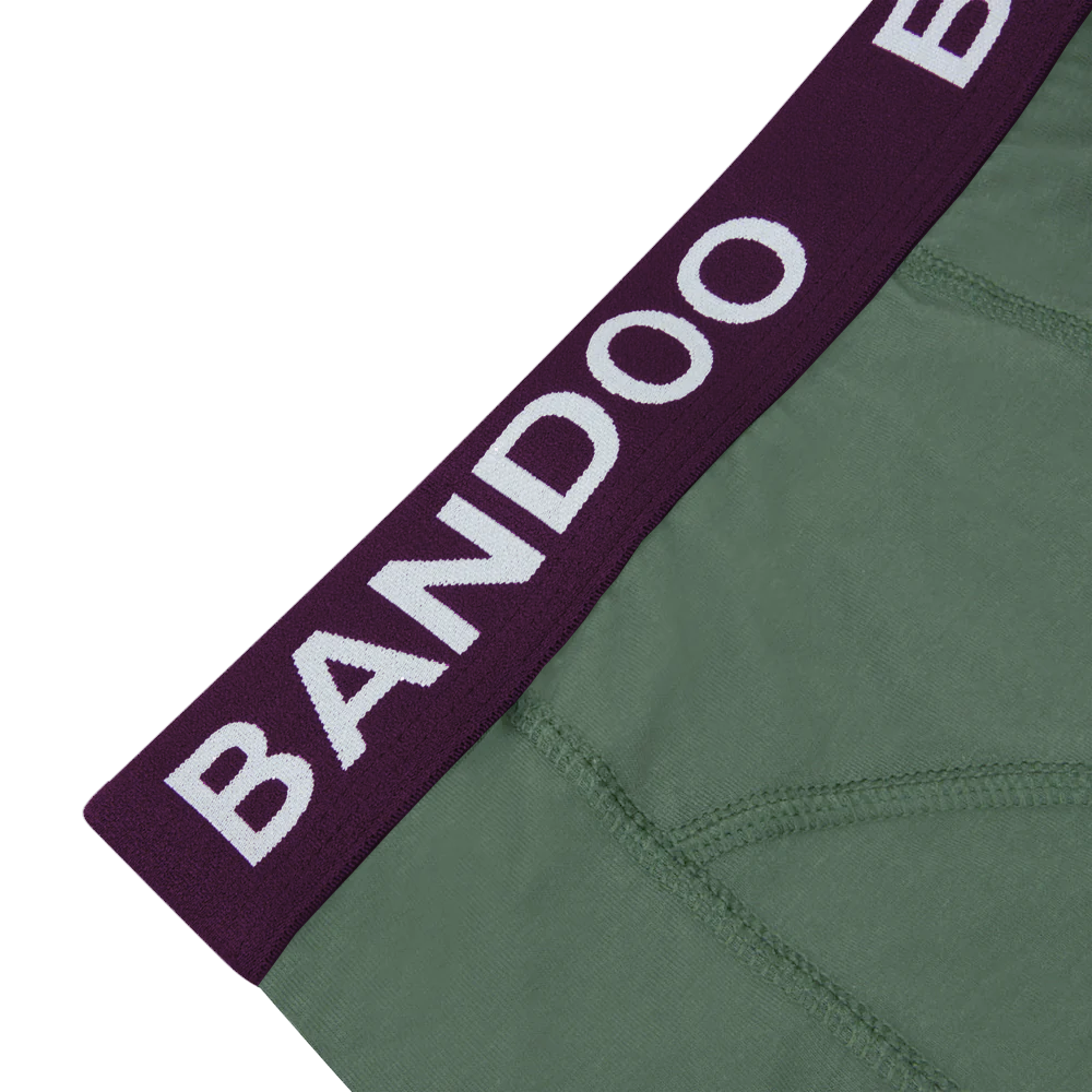 2-Pack Bamboo Boxers - Green + Purple