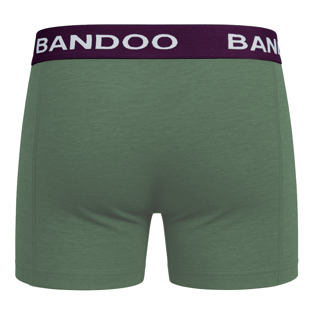 2-Pack Bamboo Boxers - Green + Purple
