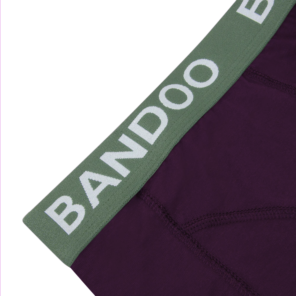 2-Pack Bamboo Boxers - Green + Purple