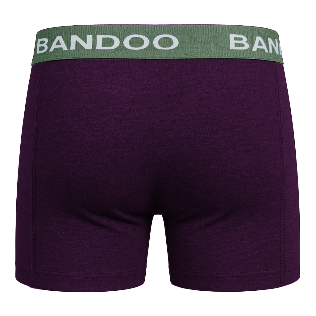2-Pack Bamboo Boxers - Green + Purple