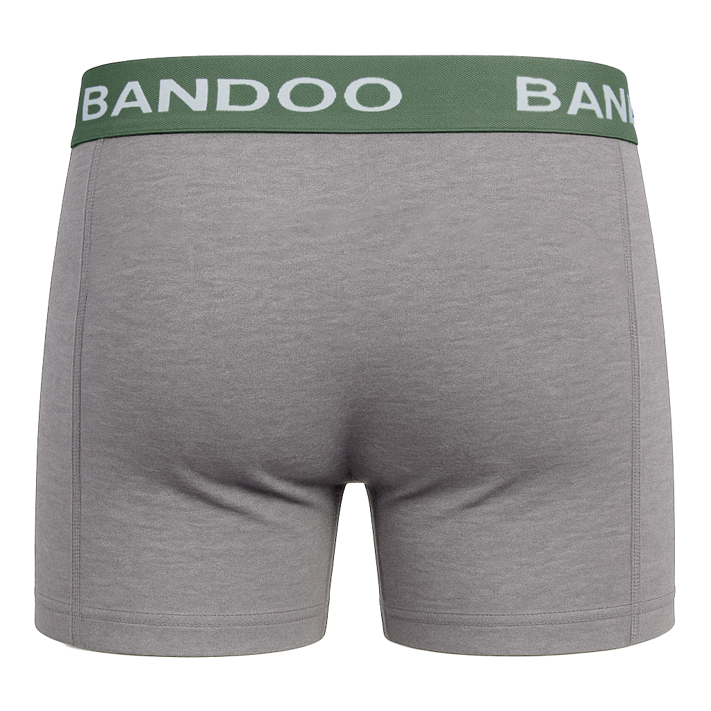 2-Pack Bamboo Boxers - Green + Grey