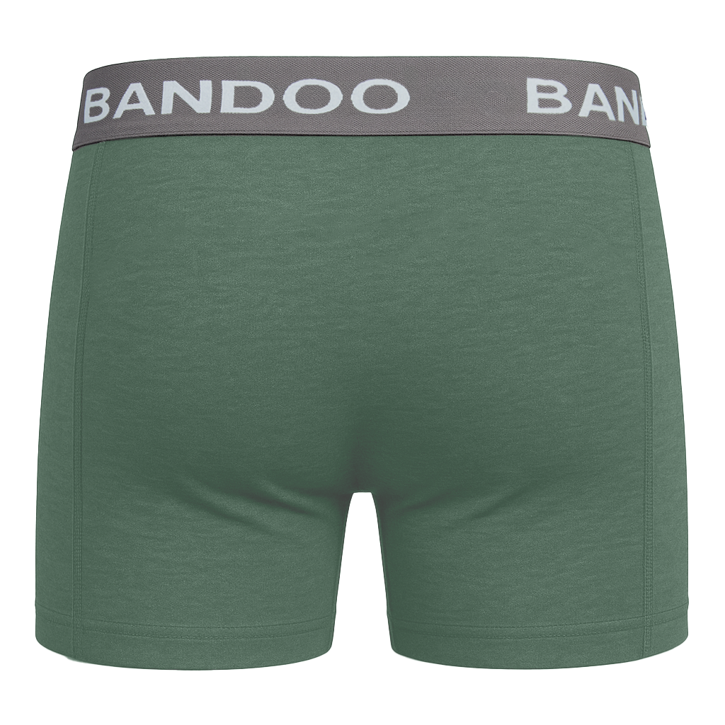2-Pack Bamboo Boxers - Green + Grey